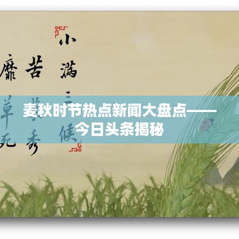 麥秋時(shí)節(jié)熱點(diǎn)新聞大盤點(diǎn)——今日頭條揭秘