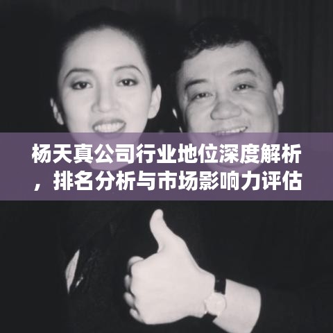 楊天真公司行業(yè)地位深度解析，排名分析與市場影響力評估