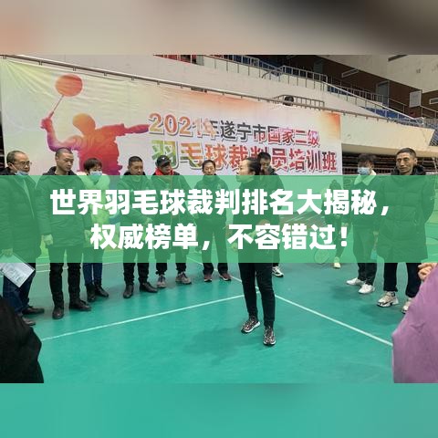 世界羽毛球裁判排名大揭秘，權(quán)威榜單，不容錯過！