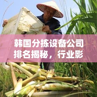 韓國分揀設(shè)備公司排名揭秘，行業(yè)影響力不容小覷
