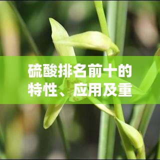 硫酸排名前十的特性、應用及重要性解析