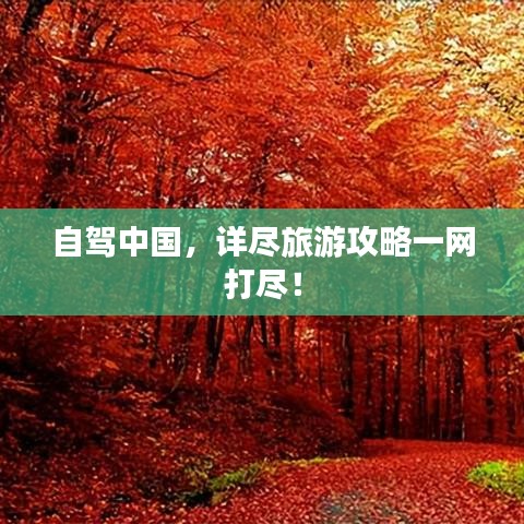 自駕中國，詳盡旅游攻略一網(wǎng)打盡！