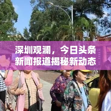 深圳觀瀾，今日頭條新聞報(bào)道揭秘新動(dòng)態(tài)