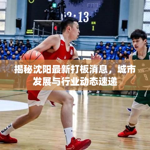 揭秘沈陽最新打板消息，城市發(fā)展與行業(yè)動態(tài)速遞