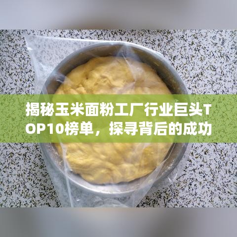 揭秘玉米面粉工廠行業(yè)巨頭TOP10榜單，探尋背后的成功秘密！