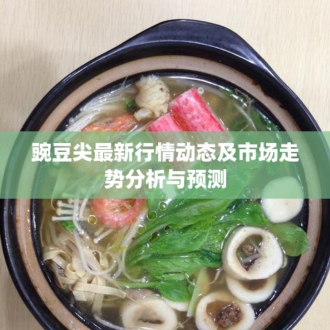豌豆尖最新行情動態(tài)及市場走勢分析與預測