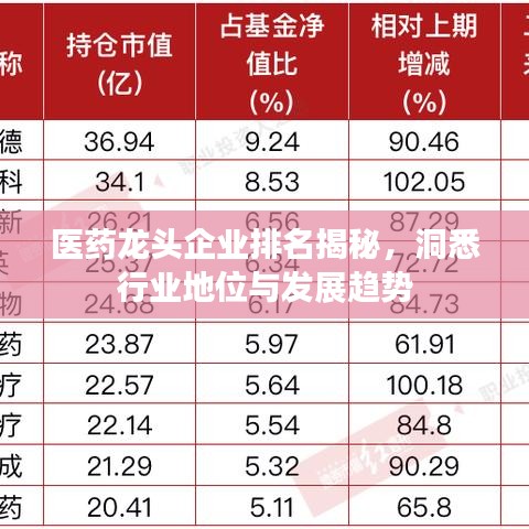 醫(yī)藥龍頭企業(yè)排名揭秘，洞悉行業(yè)地位與發(fā)展趨勢(shì)