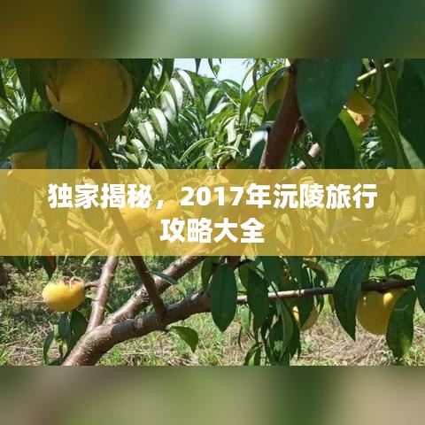 獨家揭秘，2017年沅陵旅行攻略大全