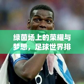綠茵場上的榮耀與夢想，足球世界排名大揭秘！