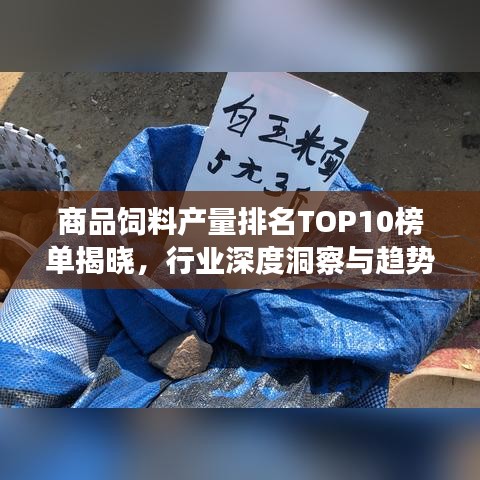商品飼料產(chǎn)量排名TOP10榜單揭曉，行業(yè)深度洞察與趨勢(shì)分析
