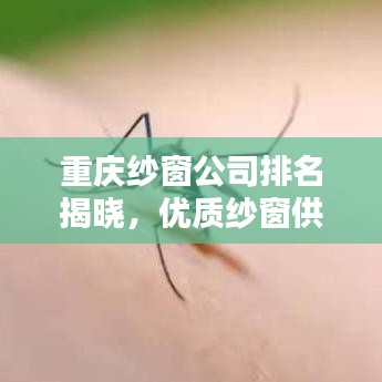 重慶紗窗公司排名揭曉，優(yōu)質(zhì)紗窗供應(yīng)商全攻略