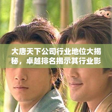 大唐天下公司行業(yè)地位大揭秘，卓越排名揭示其行業(yè)影響力