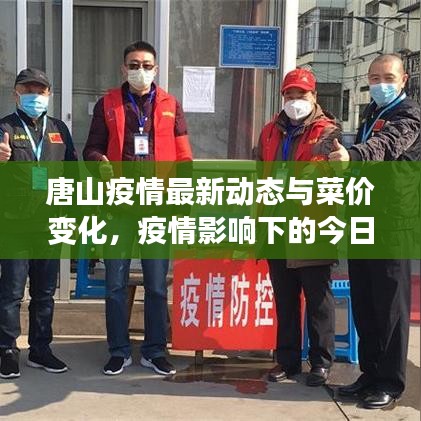 唐山疫情最新動(dòng)態(tài)與菜價(jià)變化，疫情影響下的今日菜價(jià)分析