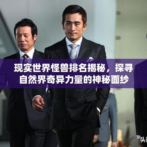 現(xiàn)實(shí)世界怪獸排名揭秘，探尋自然界奇異力量的神秘面紗