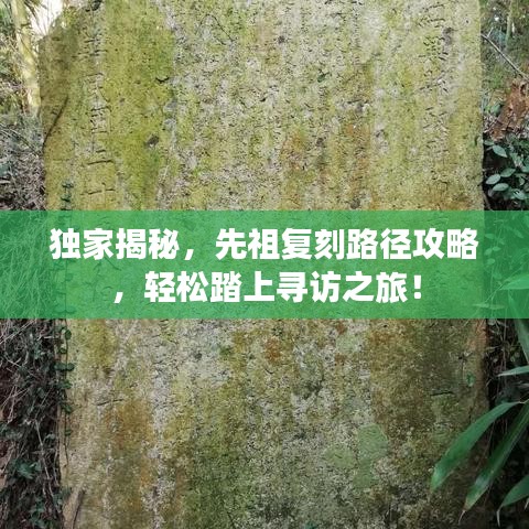 獨(dú)家揭秘，先祖復(fù)刻路徑攻略，輕松踏上尋訪之旅！