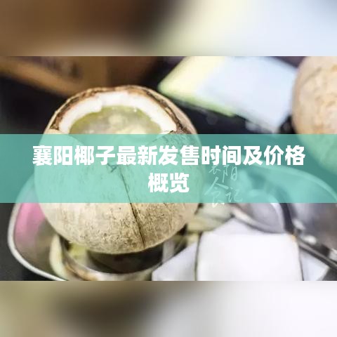 襄陽椰子最新發(fā)售時間及價格概覽