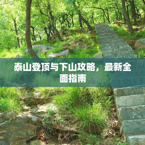 泰山登頂與下山攻略，最新全面指南