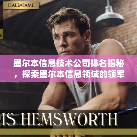 墨爾本信息技術(shù)公司排名揭秘，探索墨爾本信息領(lǐng)域的領(lǐng)軍者