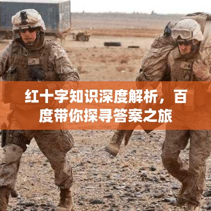 紅十字知識(shí)深度解析，百度帶你探尋答案之旅
