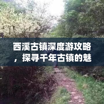西溪古鎮(zhèn)深度游攻略，探尋千年古鎮(zhèn)的魅力與韻味