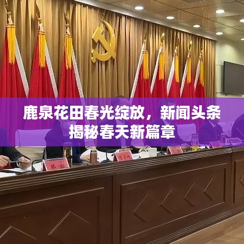 鹿泉花田春光綻放，新聞頭條揭秘春天新篇章