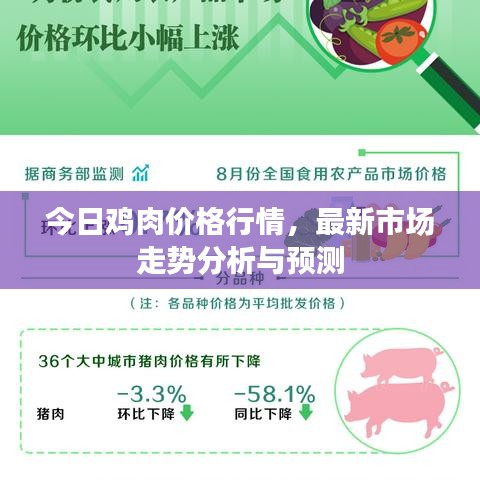 今日雞肉價(jià)格行情，最新市場(chǎng)走勢(shì)分析與預(yù)測(cè)
