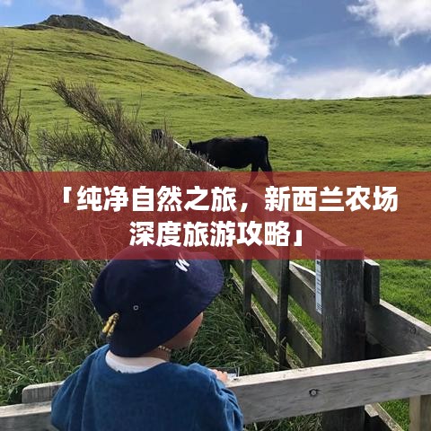 「純凈自然之旅，新西蘭農(nóng)場深度旅游攻略」