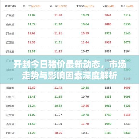 開封今日豬價最新動態(tài)，市場走勢與影響因素深度解析