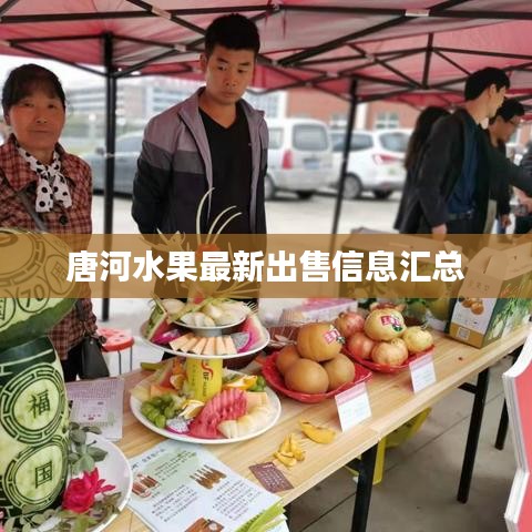 唐河水果最新出售信息匯總