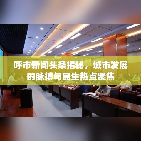 呼市新聞頭條揭秘，城市發(fā)展的脈搏與民生熱點聚焦