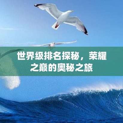 世界級(jí)排名探秘，榮耀之巔的奧秘之旅