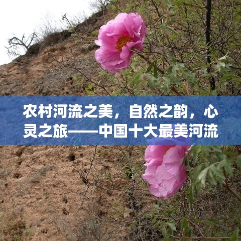 農(nóng)村河流之美，自然之韻，心靈之旅——中國十大最美河流排名