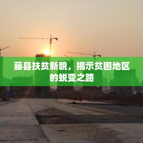 藤縣扶貧新貌，揭示貧困地區(qū)的蛻變之路