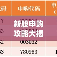 新股申購(gòu)攻略大揭秘，輕松成功申購(gòu)，獲取高額收益的技巧