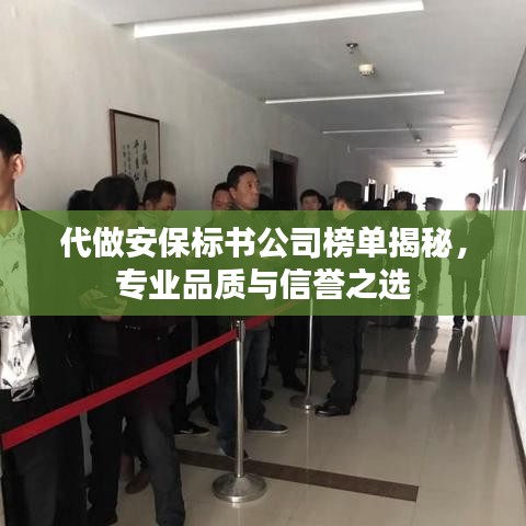 代做安保標(biāo)書公司榜單揭秘，專業(yè)品質(zhì)與信譽(yù)之選