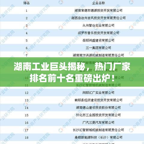 湖南工業(yè)巨頭揭秘，熱門廠家排名前十名重磅出爐！