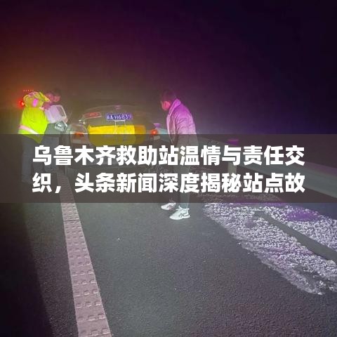 烏魯木齊救助站溫情與責(zé)任交織，頭條新聞深度揭秘站點(diǎn)故事