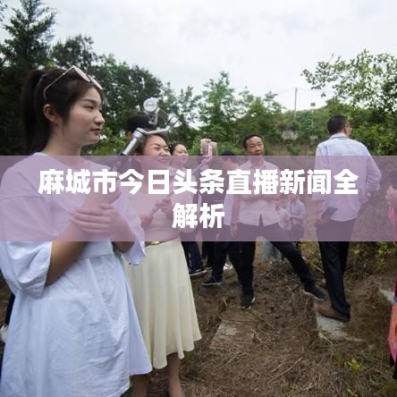麻城市今日頭條直播新聞全解析