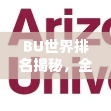 BU世界排名揭秘，全球影響力與地位的探究