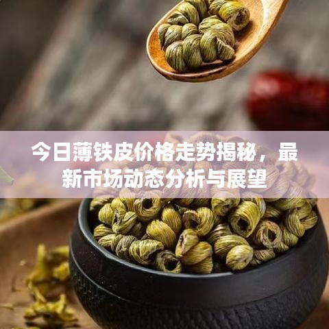 今日薄鐵皮價(jià)格走勢(shì)揭秘，最新市場(chǎng)動(dòng)態(tài)分析與展望