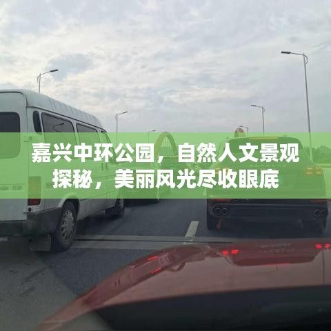 嘉興中環(huán)公園，自然人文景觀探秘，美麗風(fēng)光盡收眼底