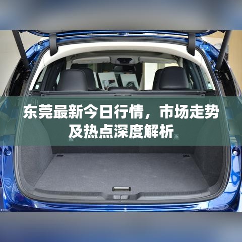 東莞最新今日行情，市場(chǎng)走勢(shì)及熱點(diǎn)深度解析