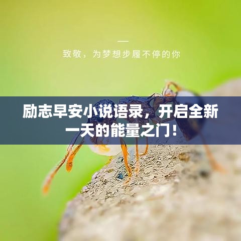 勵志早安小說語錄，開啟全新一天的能量之門！