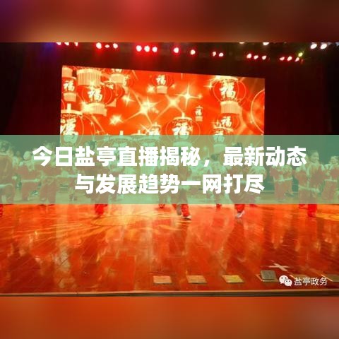 今日鹽亭直播揭秘，最新動(dòng)態(tài)與發(fā)展趨勢(shì)一網(wǎng)打盡