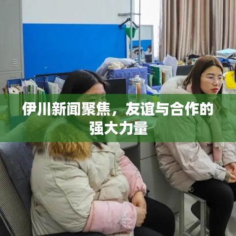 伊川新聞聚焦，友誼與合作的強(qiáng)大力量