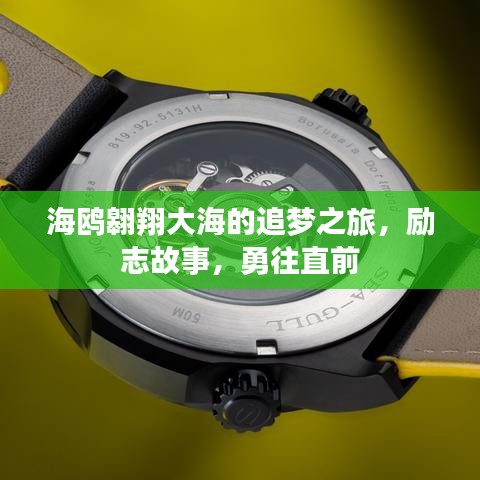 海鷗翱翔大海的追夢(mèng)之旅，勵(lì)志故事，勇往直前