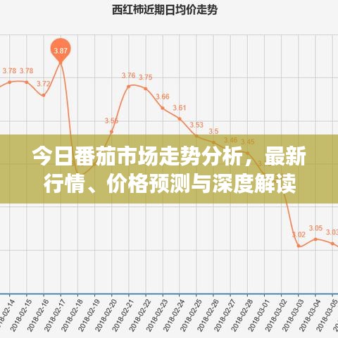 今日番茄市場走勢分析，最新行情、價格預(yù)測與深度解讀
