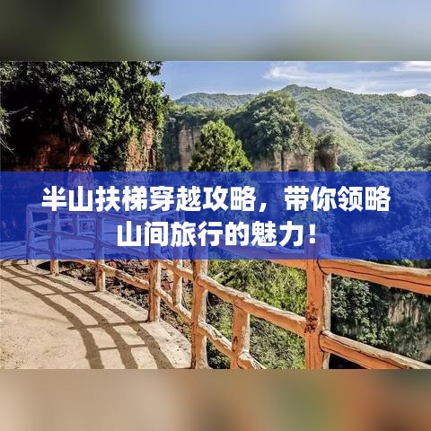 半山扶梯穿越攻略，帶你領(lǐng)略山間旅行的魅力！