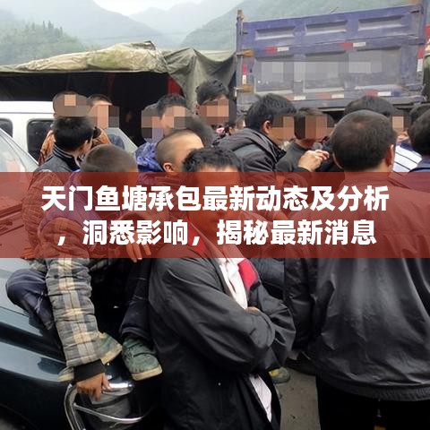 天門魚塘承包最新動(dòng)態(tài)及分析，洞悉影響，揭秘最新消息