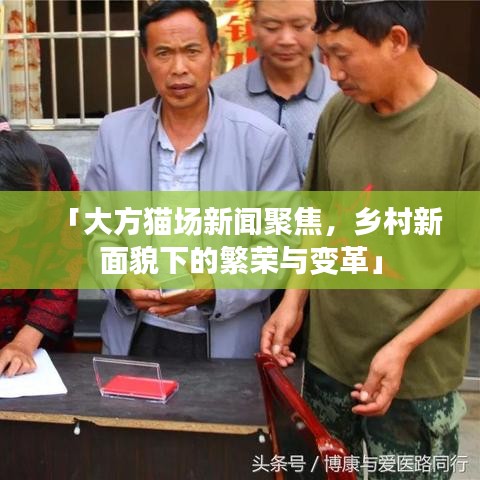「大方貓場(chǎng)新聞聚焦，鄉(xiāng)村新面貌下的繁榮與變革」